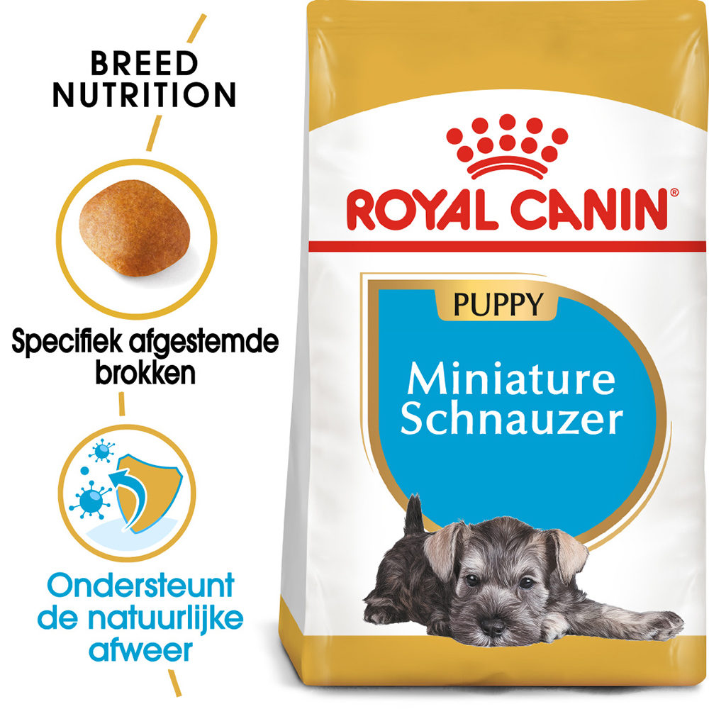 Royal Canin Mini Schnauzer Puppy-