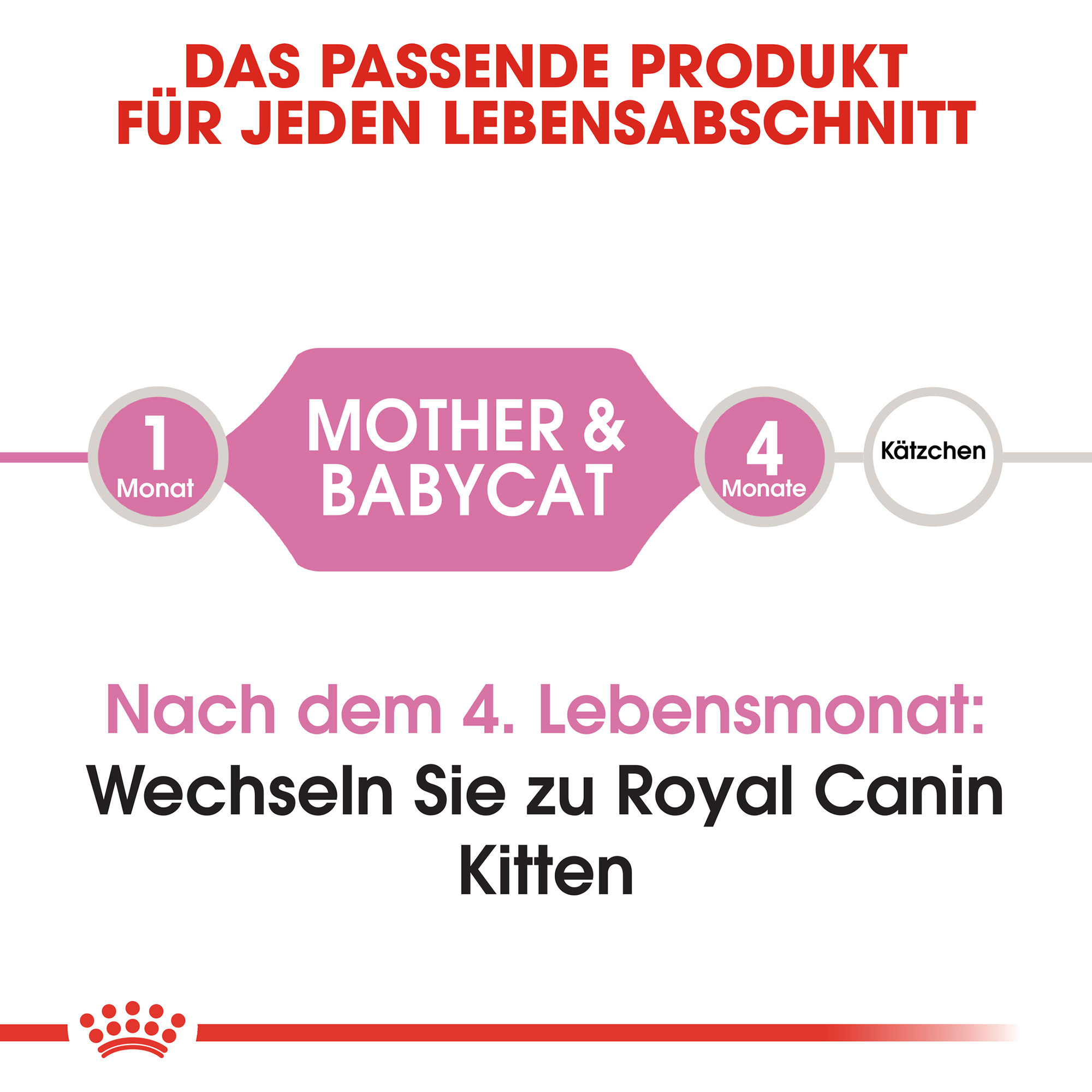 Royal Canin Mother & Babycat Katzenfutter