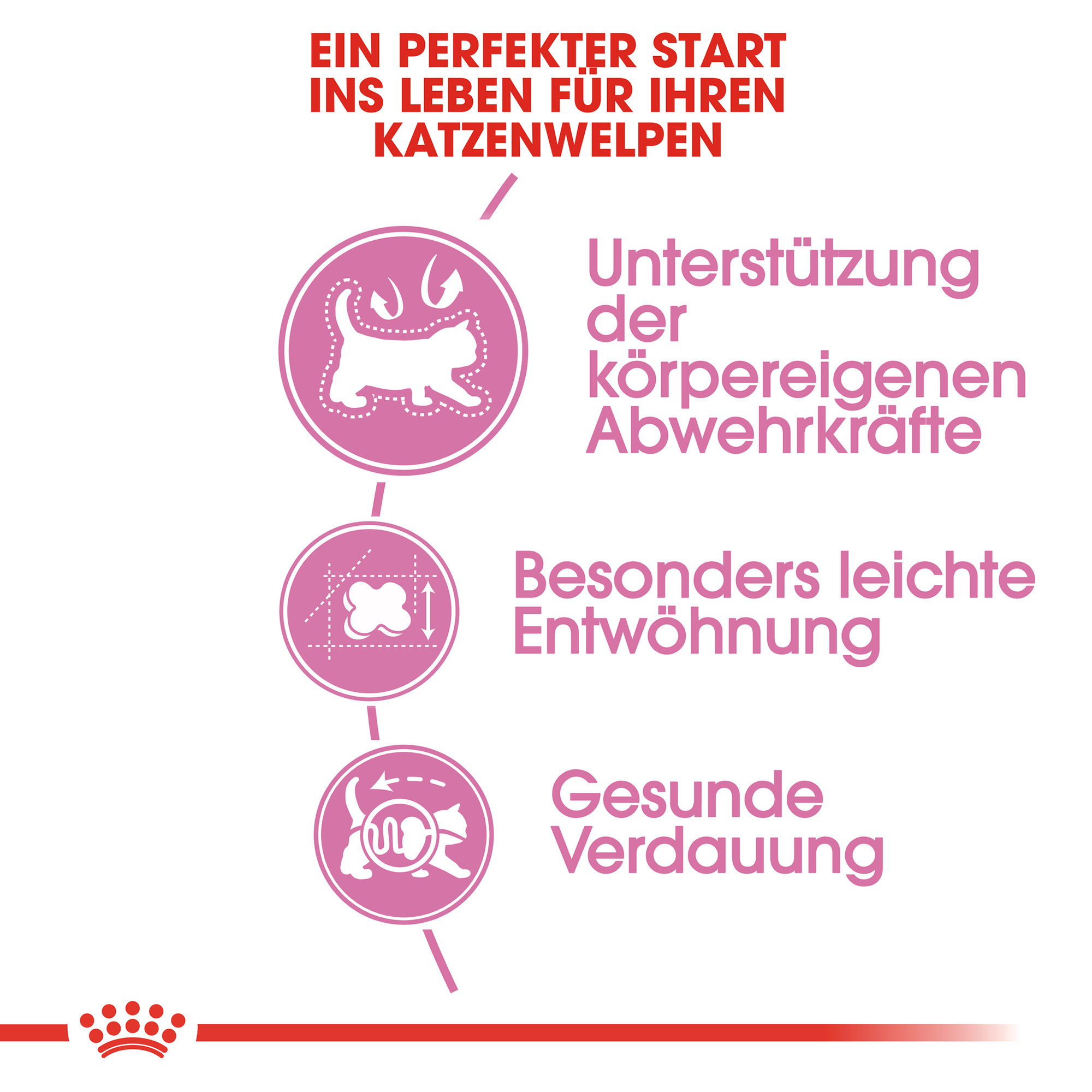 Royal Canin Mother & Babycat Katzenfutter