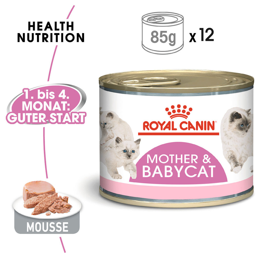Royal canin baby cat on sale