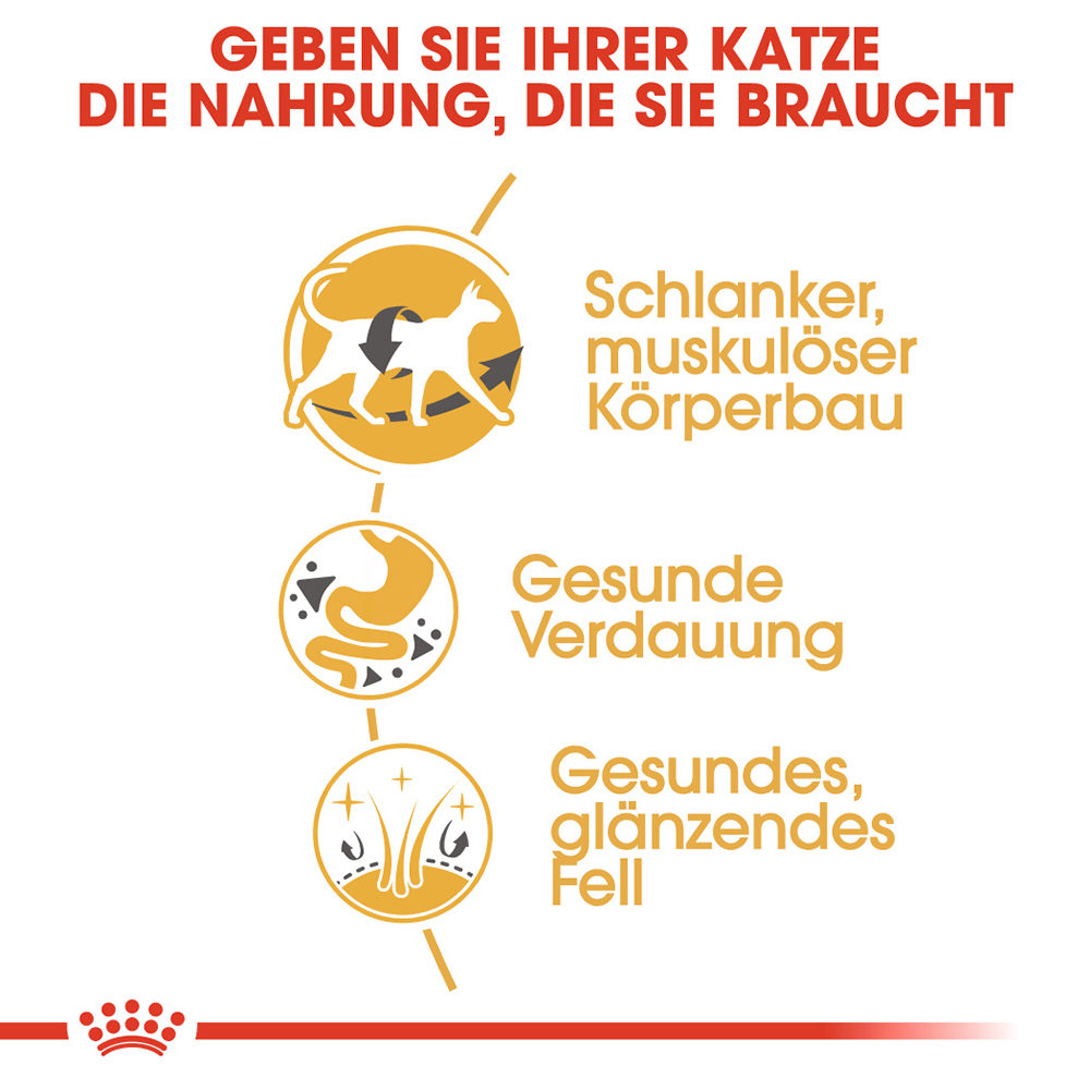 Royal Canin Siamese Adult Katzenfutter – 4 kg