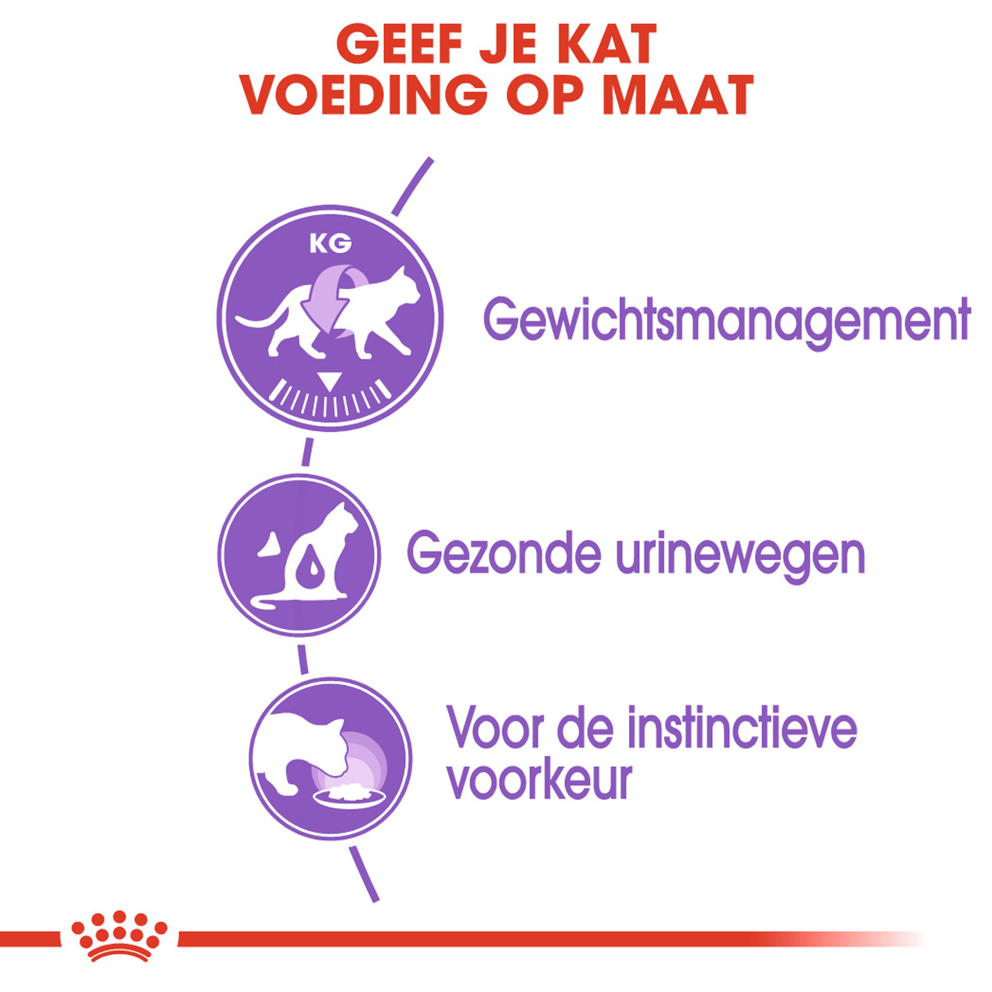 Royal Canin Sterilised in Gravy - Megapakke