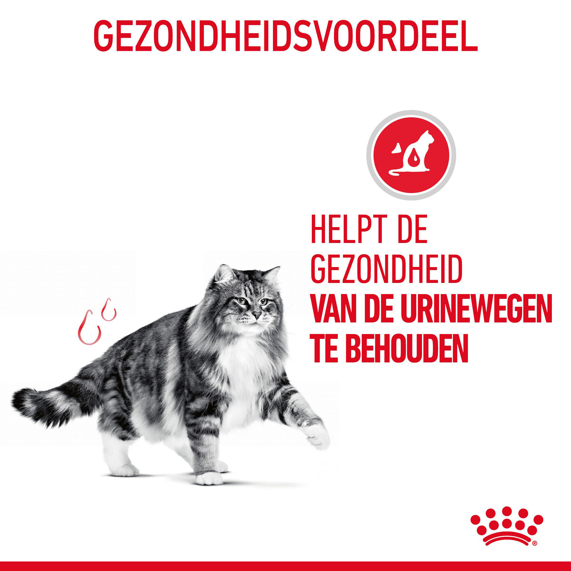 Royal Canin Urinary Care - Kattenvoer