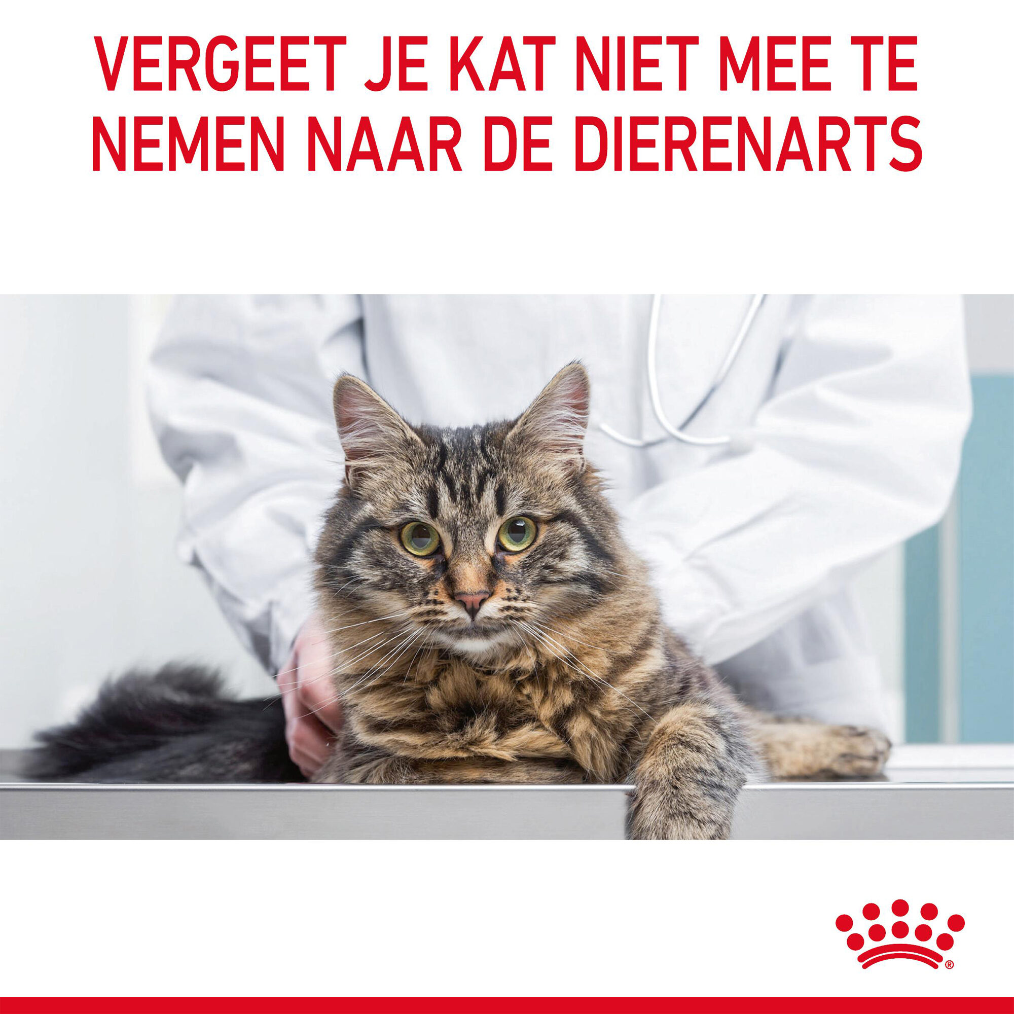 Royal Canin Urinary Care in Gravy - Kattenvoer