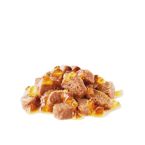 Royal canin 2024 urinary beef