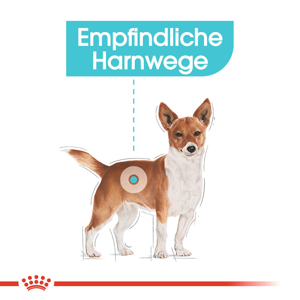 Royal Canin Urinary Care Wet Bestellen Medpets