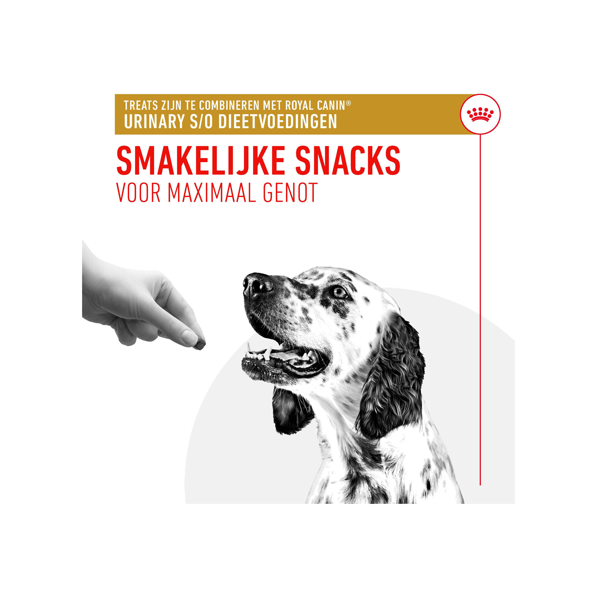 Royal Canin Urinary S/O Treats