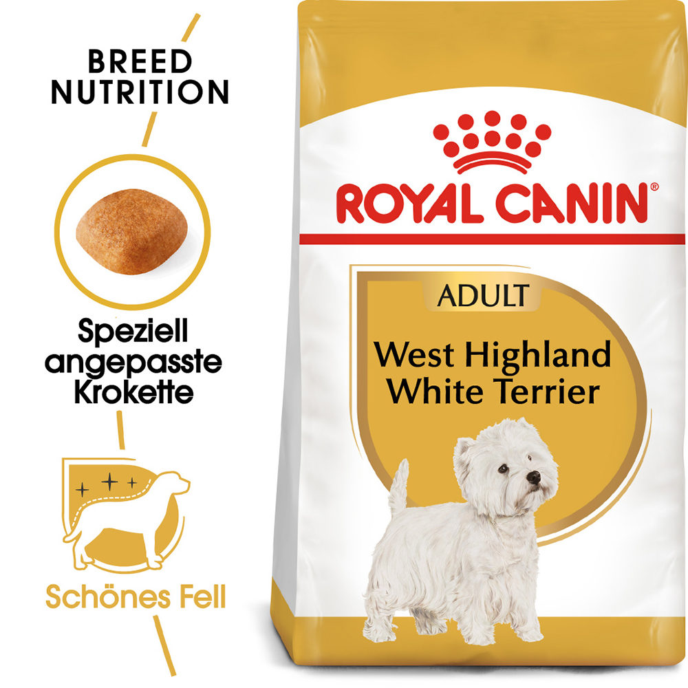 West highland terrier adult outlet