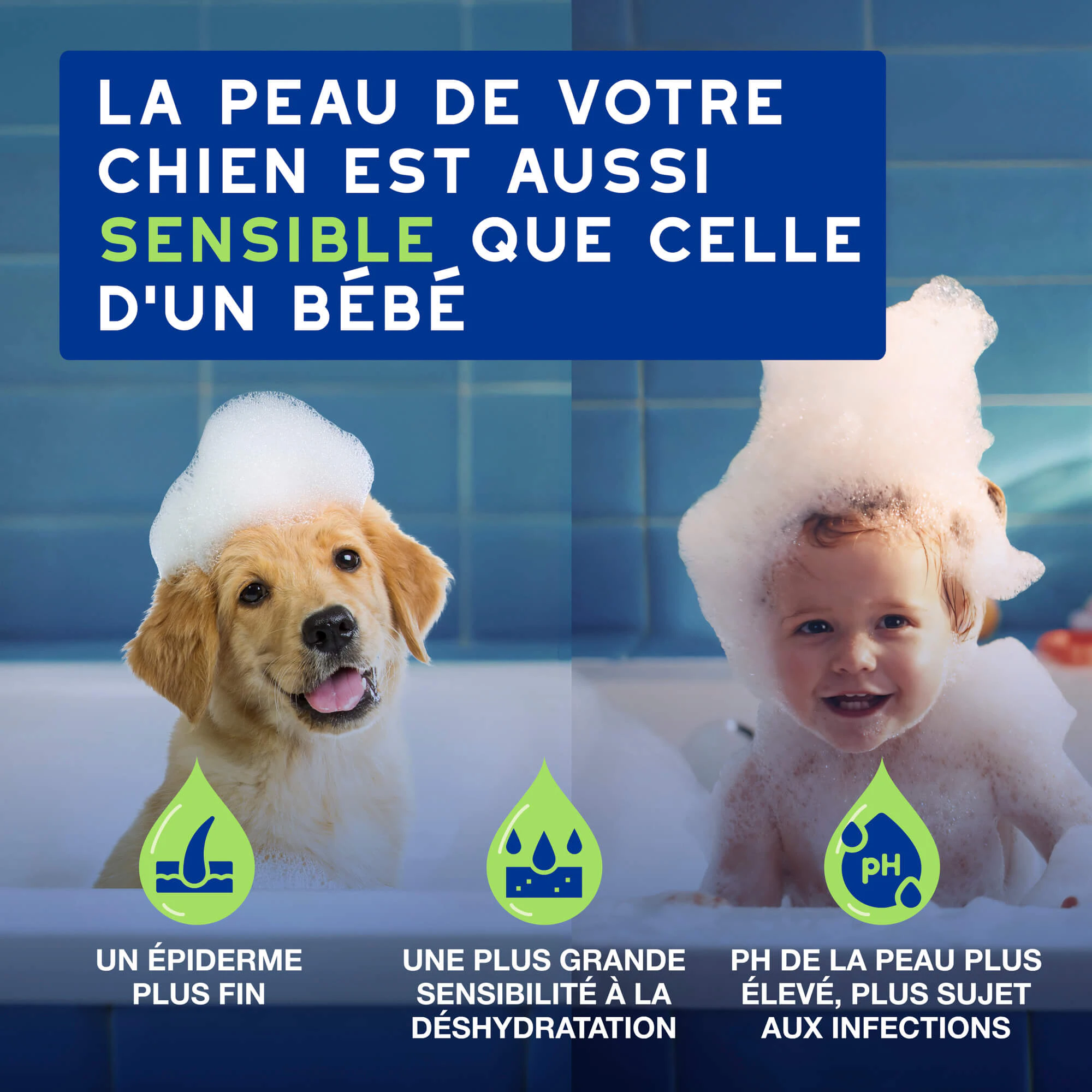 Douxo Shampoo Spa pour Chiot