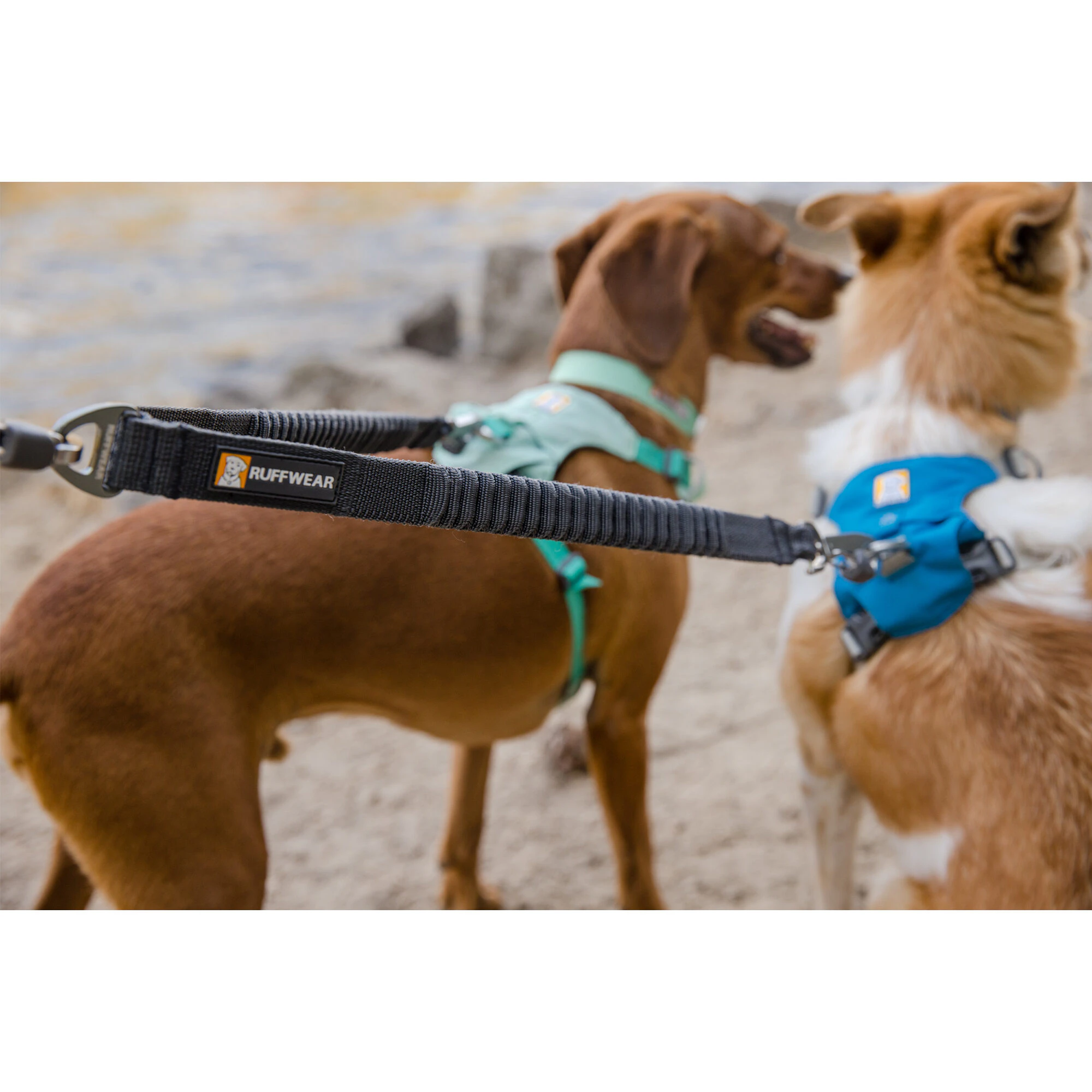 Ruffwear Double Track Leash Coupler