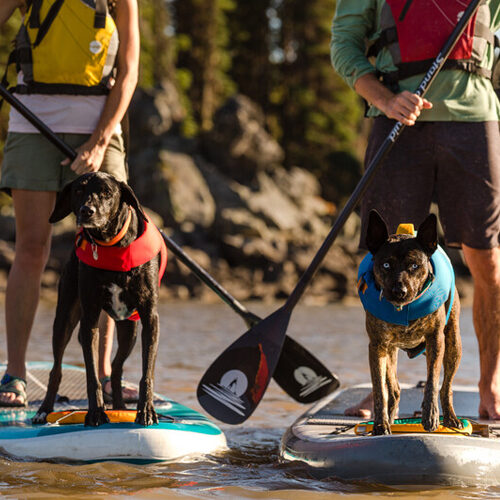 Ruffwear Float Coat