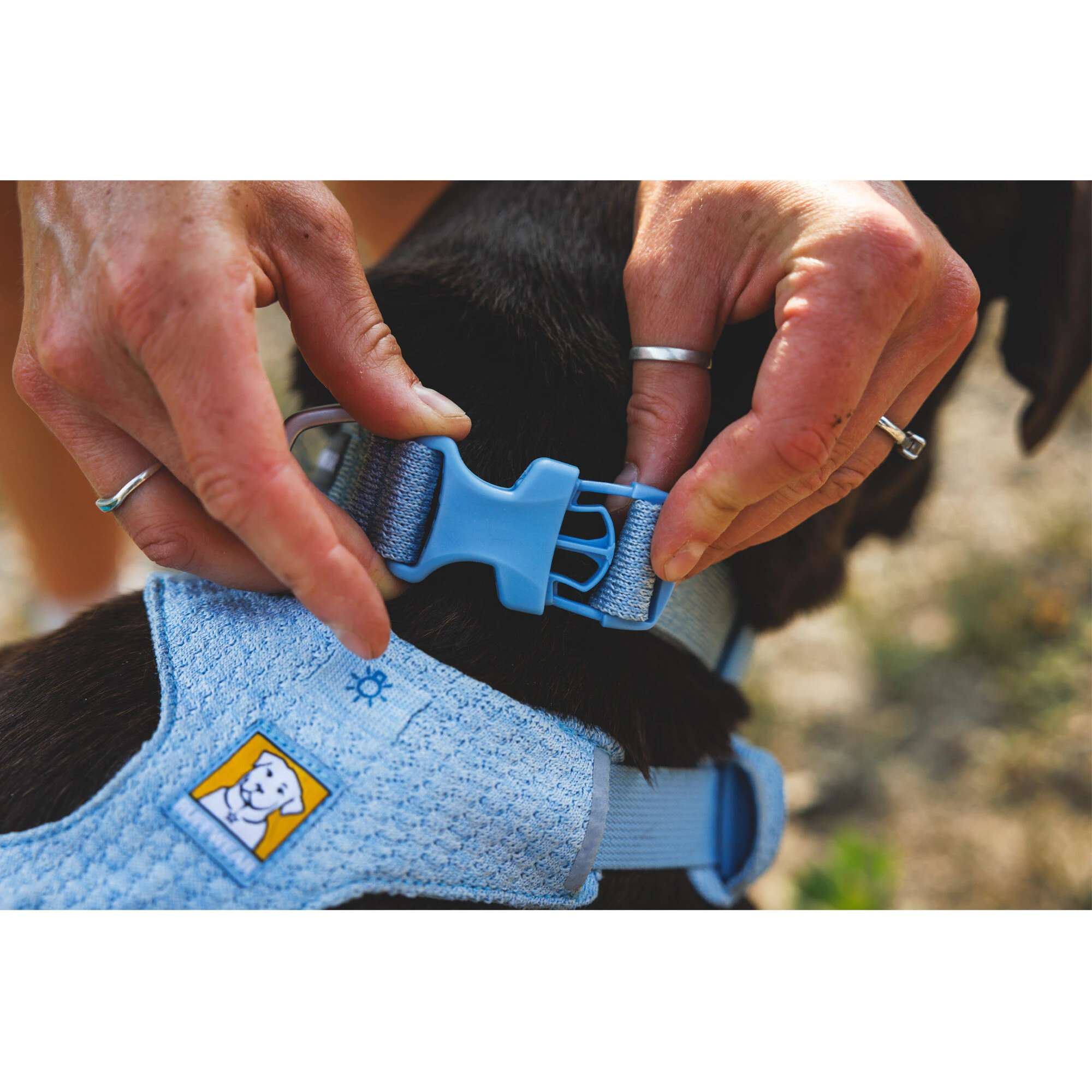 Ruffwear Front Range Flex Collar