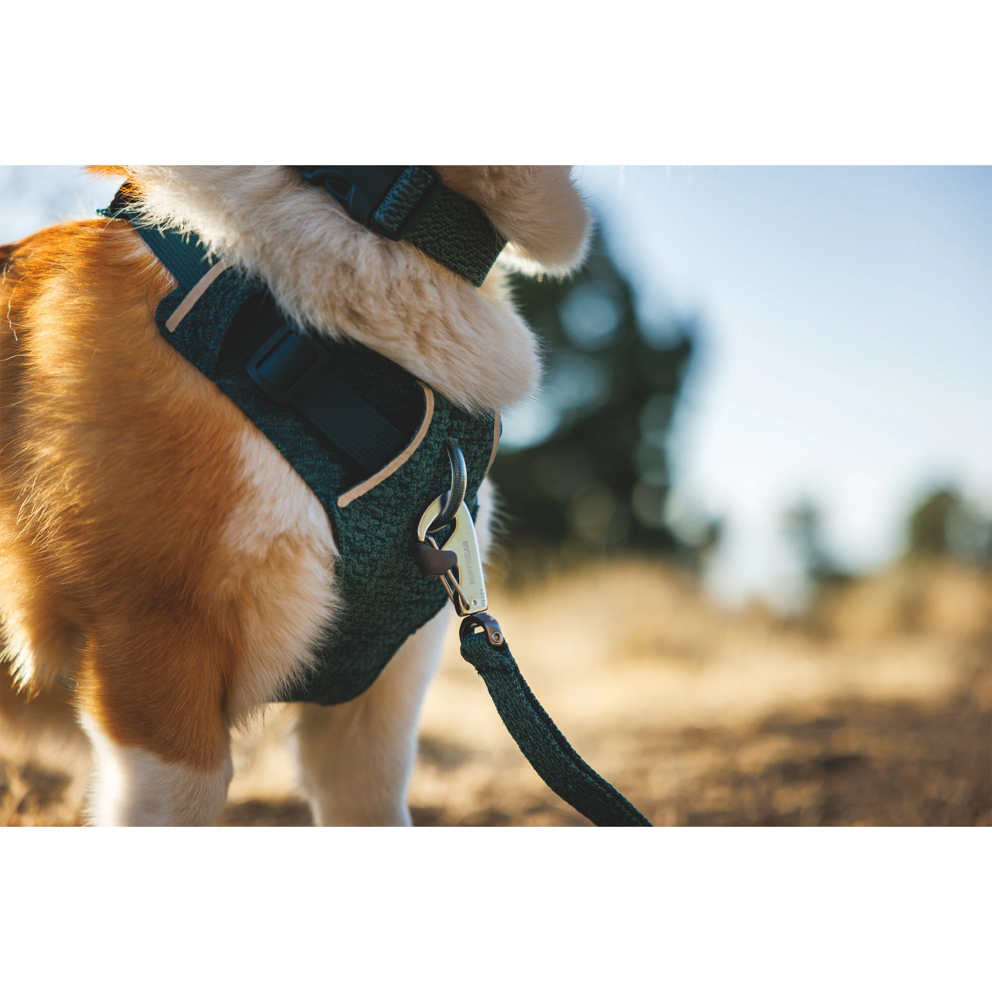 Ruffwear Front Range Flex Harness