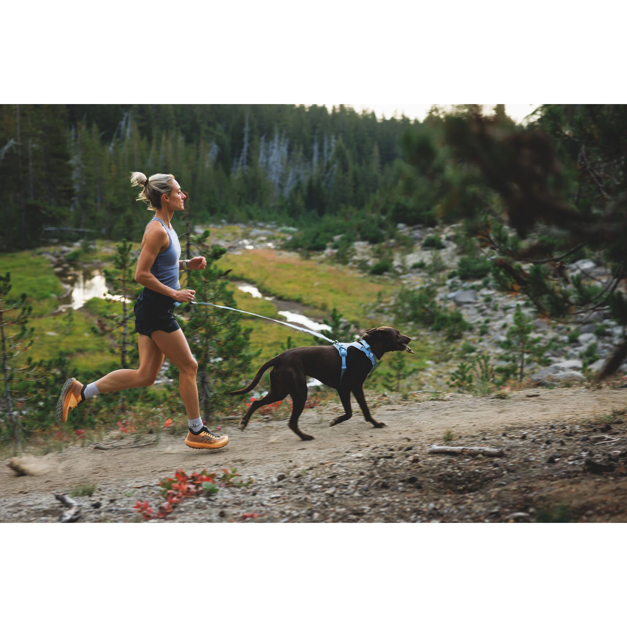 Ruffwear Front Range Flex Harness