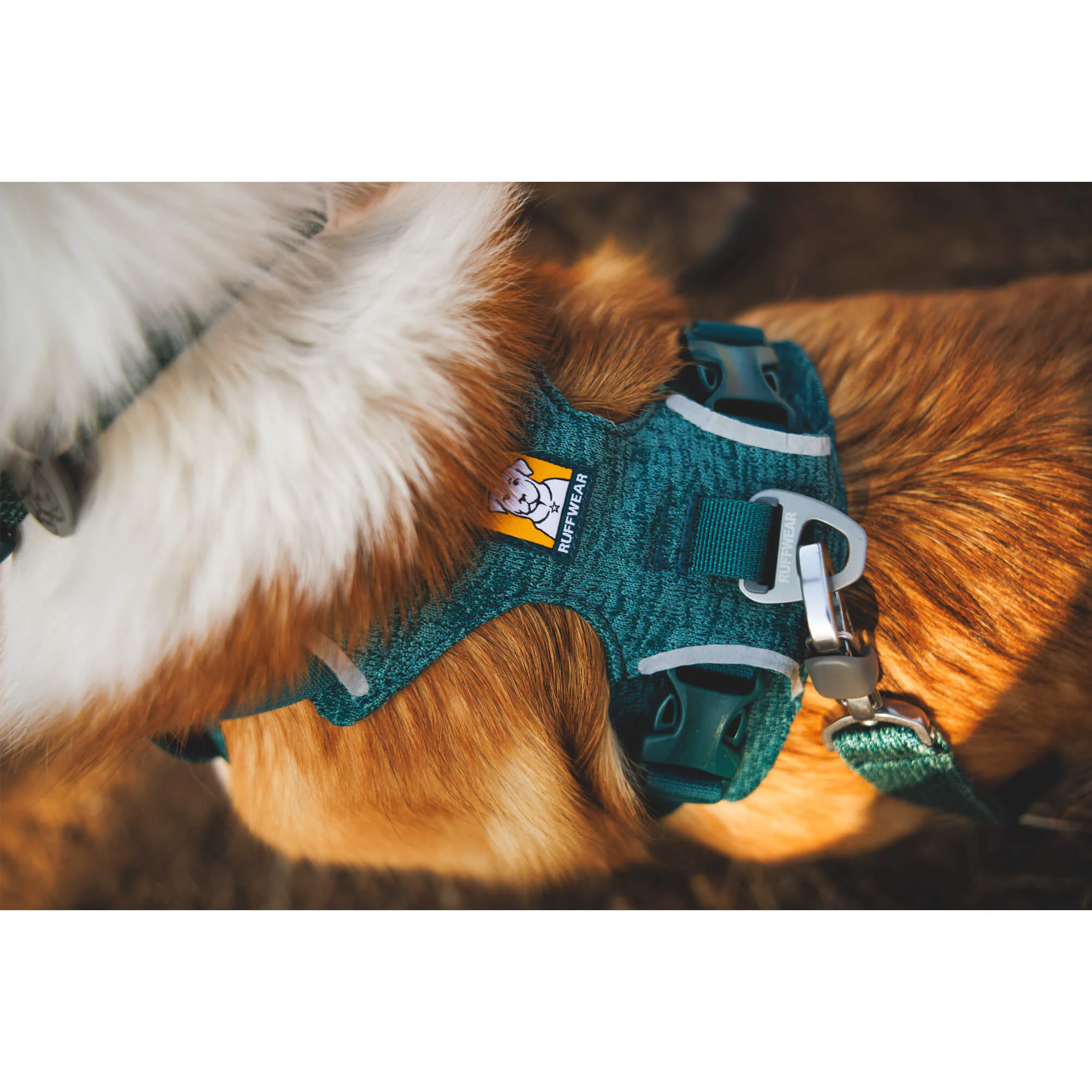 Ruffwear Front Range Flex Harness