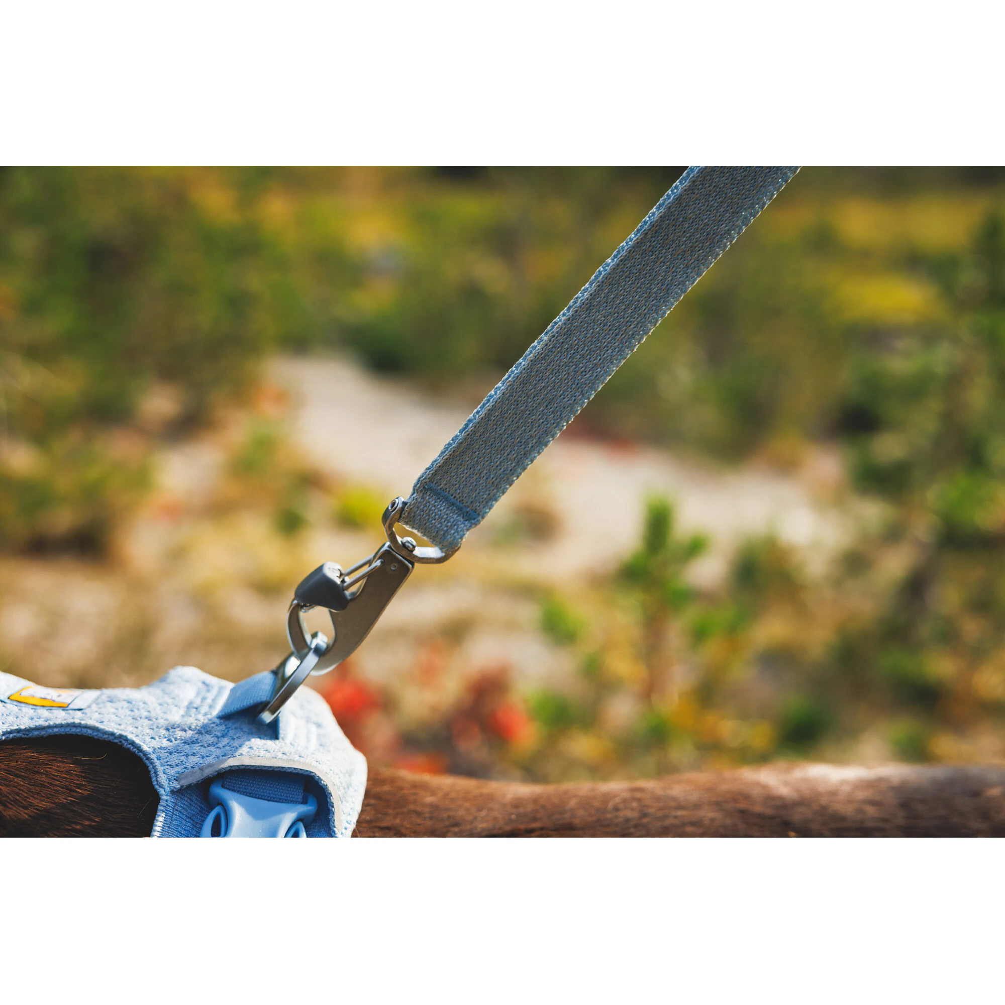 Ruffwear Front Range Flex Leash