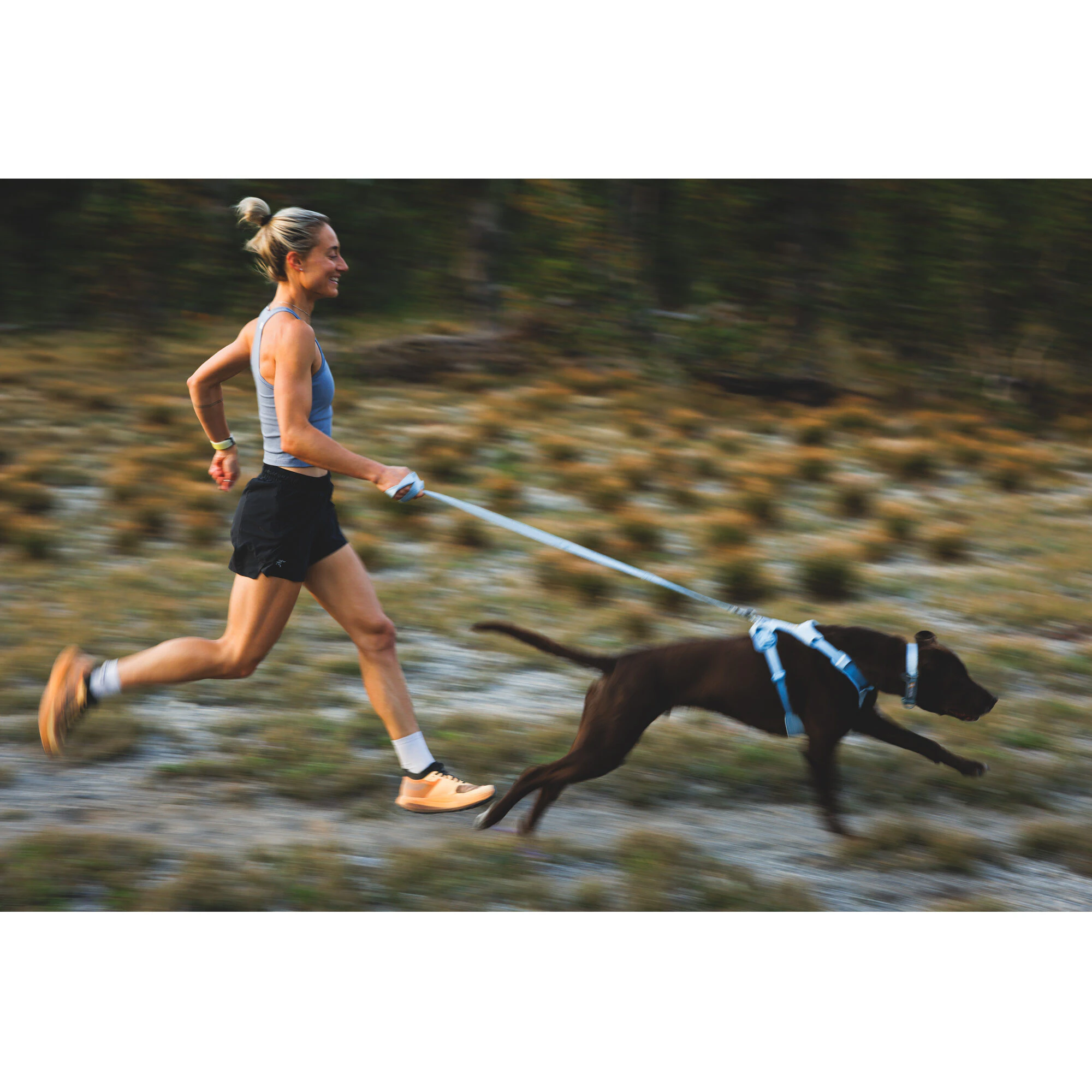 Ruffwear Front Range Flex Leash