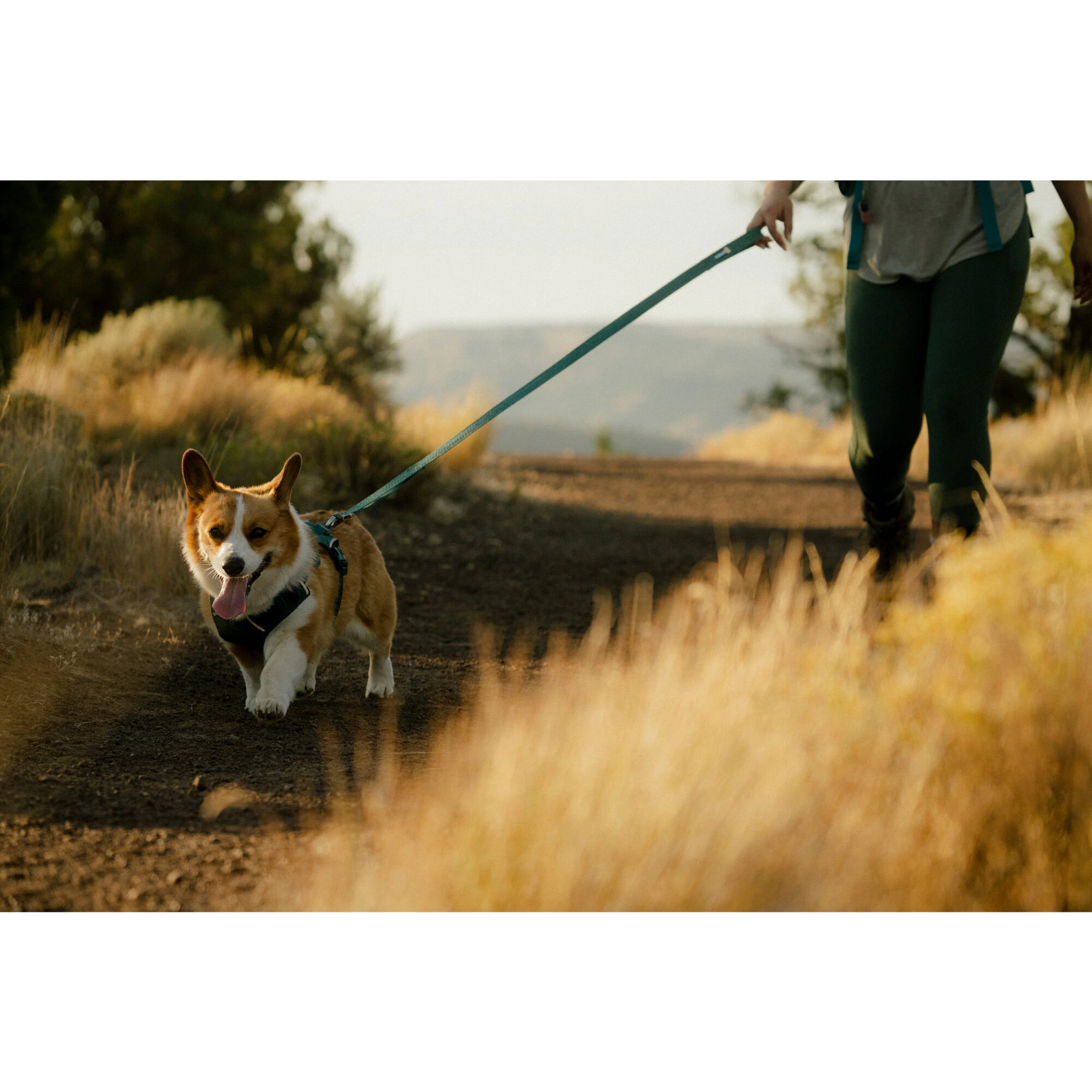 Ruffwear Front Range Flex Leash