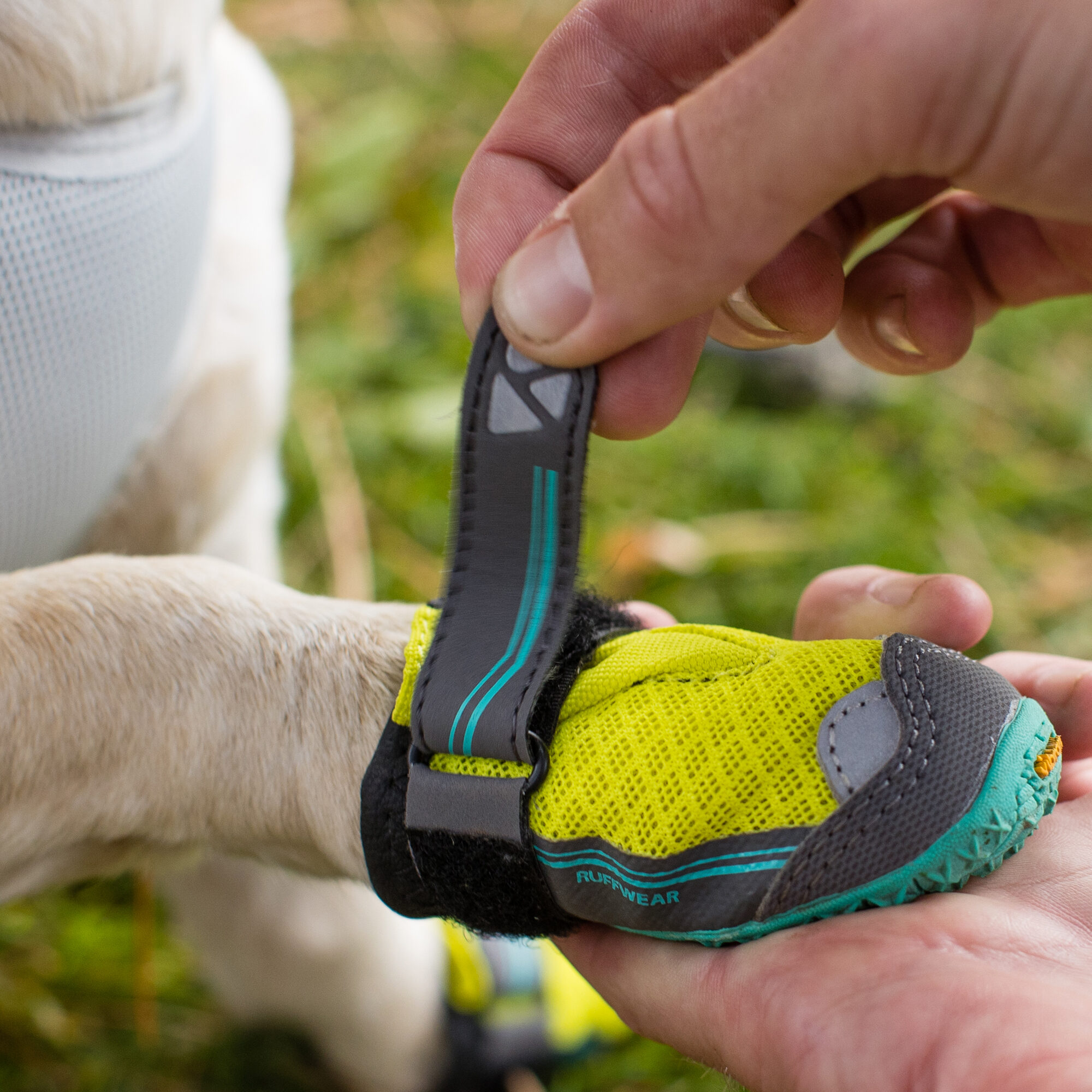 Dog sales swimming boots