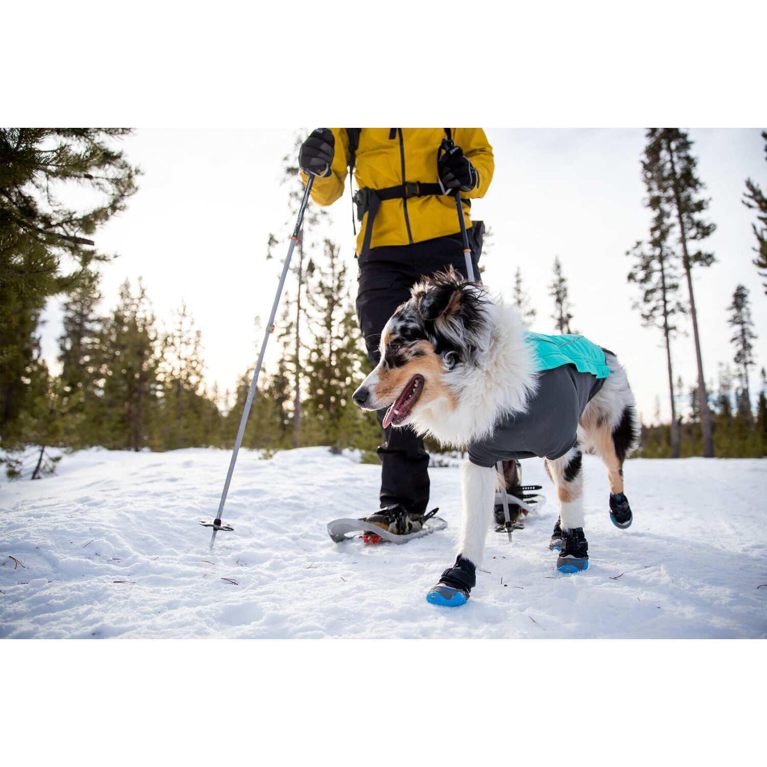 Ruffwear Polar Trex Hondenschoenen Bestellen Medpets.be