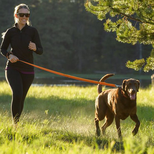 Ruffwear Roamer Leash