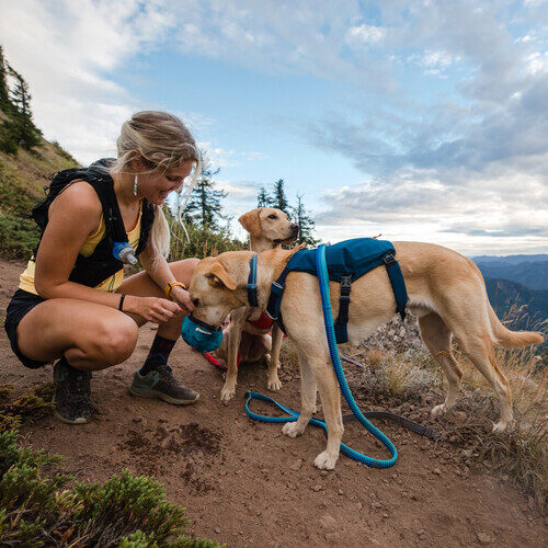 Ruffwear Roamer Leash Dog Order Here Vetsend