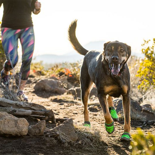 Chaussures pour Chien Ruffwear Summit Trex Commander Medpets.fr