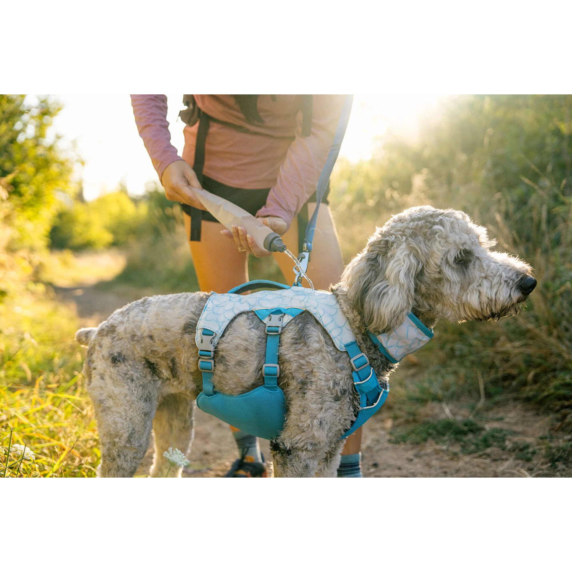 Ruffwear Swamp Cooler Harness