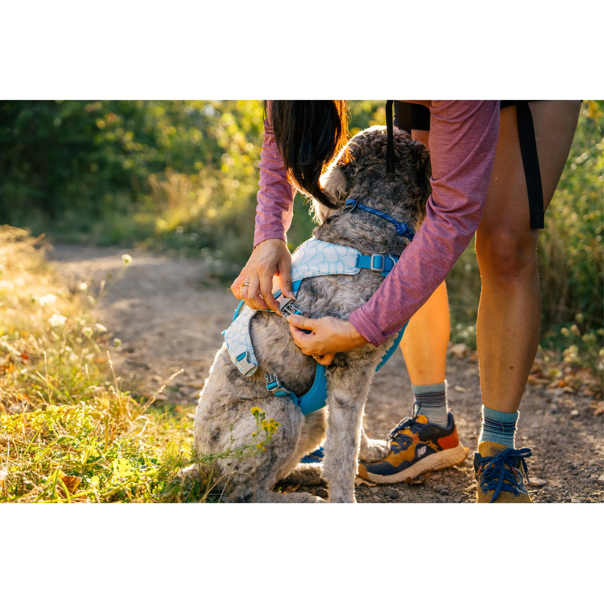Ruffwear Swamp Cooler Harness