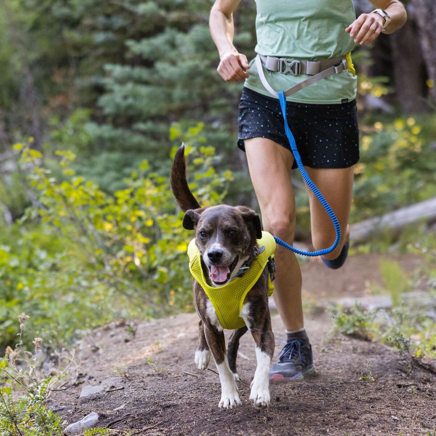 Ruffwear Trail Runner Hondenlijn