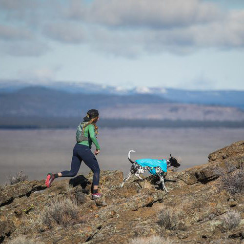 Ruffwear Wind Sprinter Jacket Hondenjas Bestel Medpets.nl