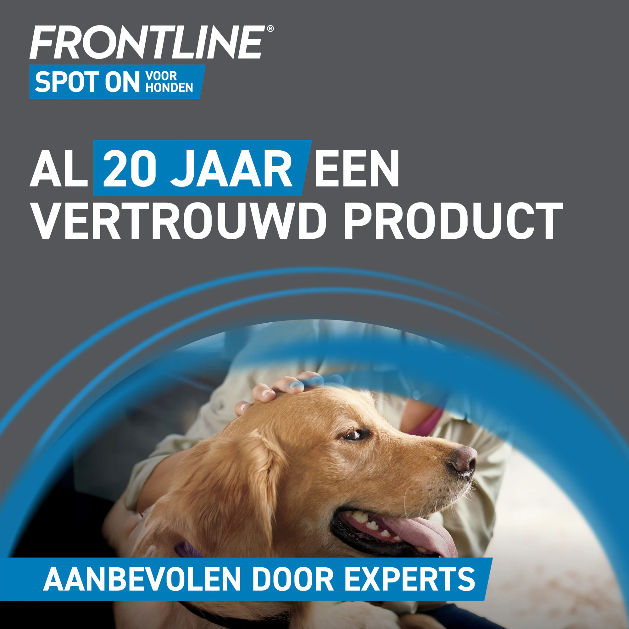 Frontline Spot On Hond