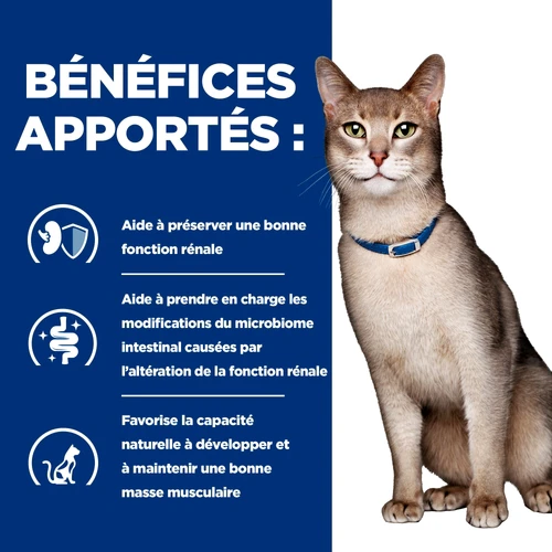 Hill's k/d Kidney Care - Prescription Diet - Feline