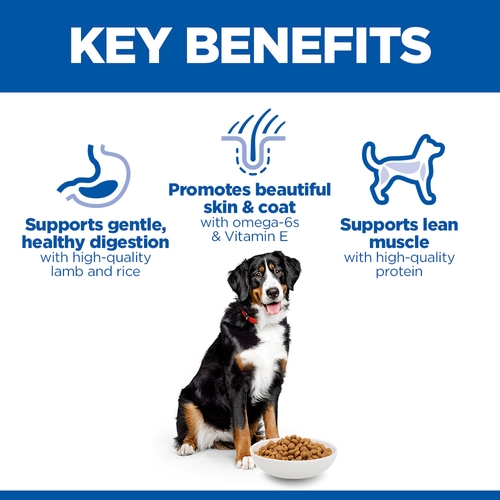 Hill's Science Plan - Canine Adult - Large - Lamb