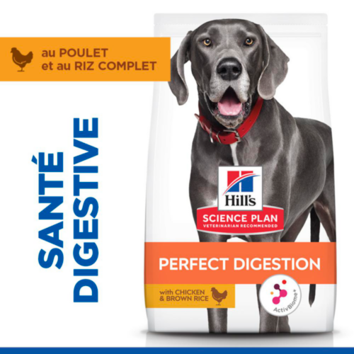 Hill's Science Plan Adult Perfect Digestion Large Breed