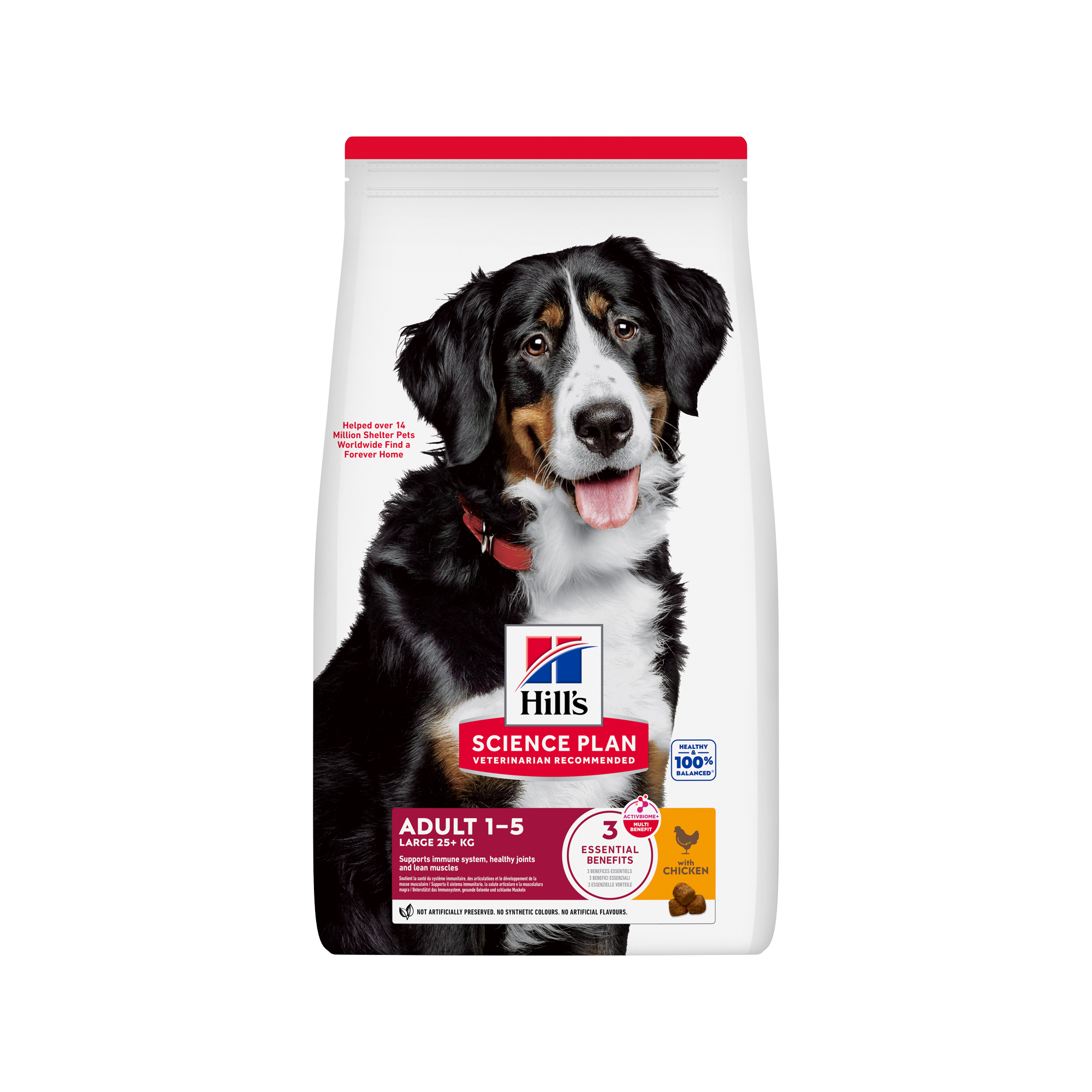 Hill's Science Plan - Large Breed - Adult - Pollo