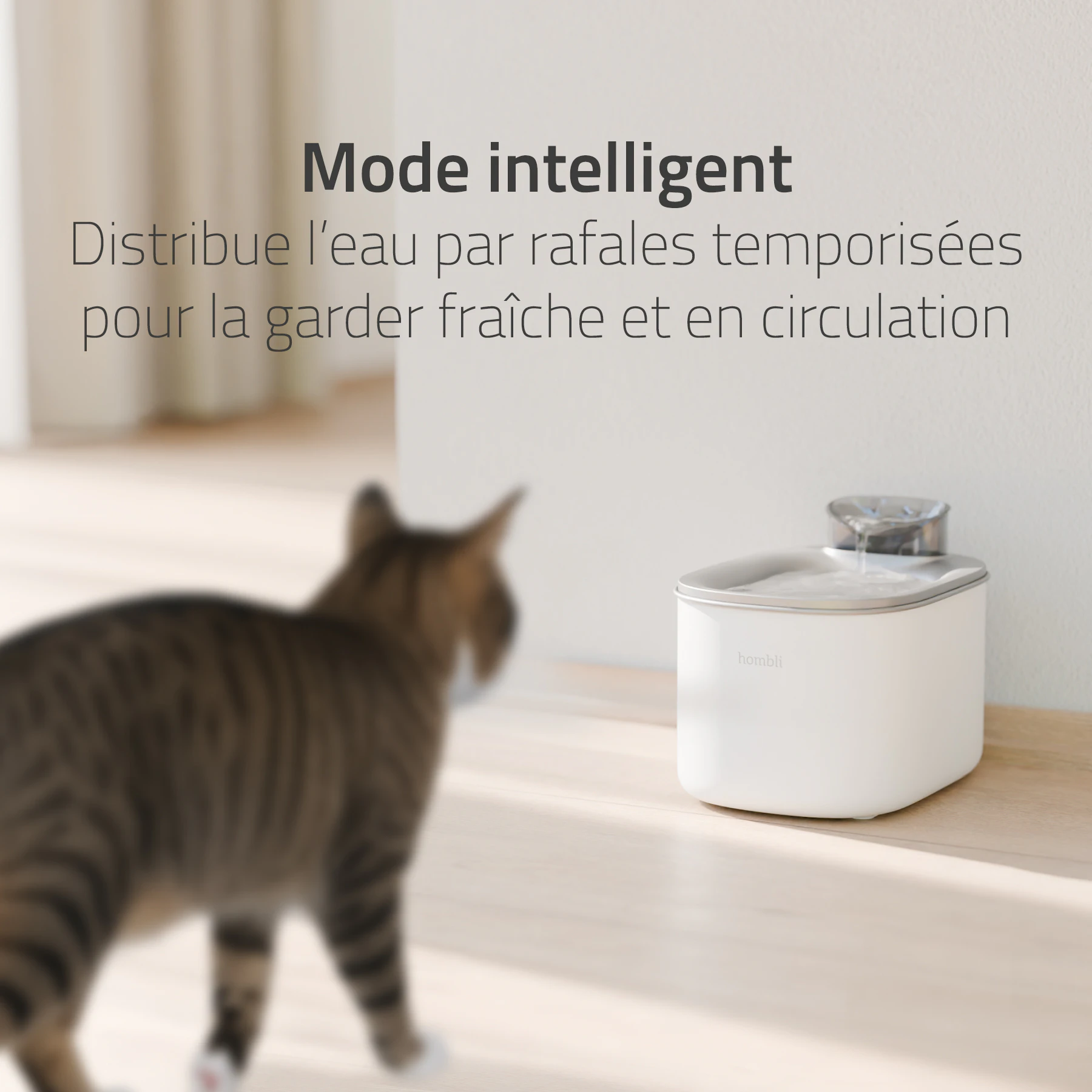 Hombli Smart Fontaine à Boisson