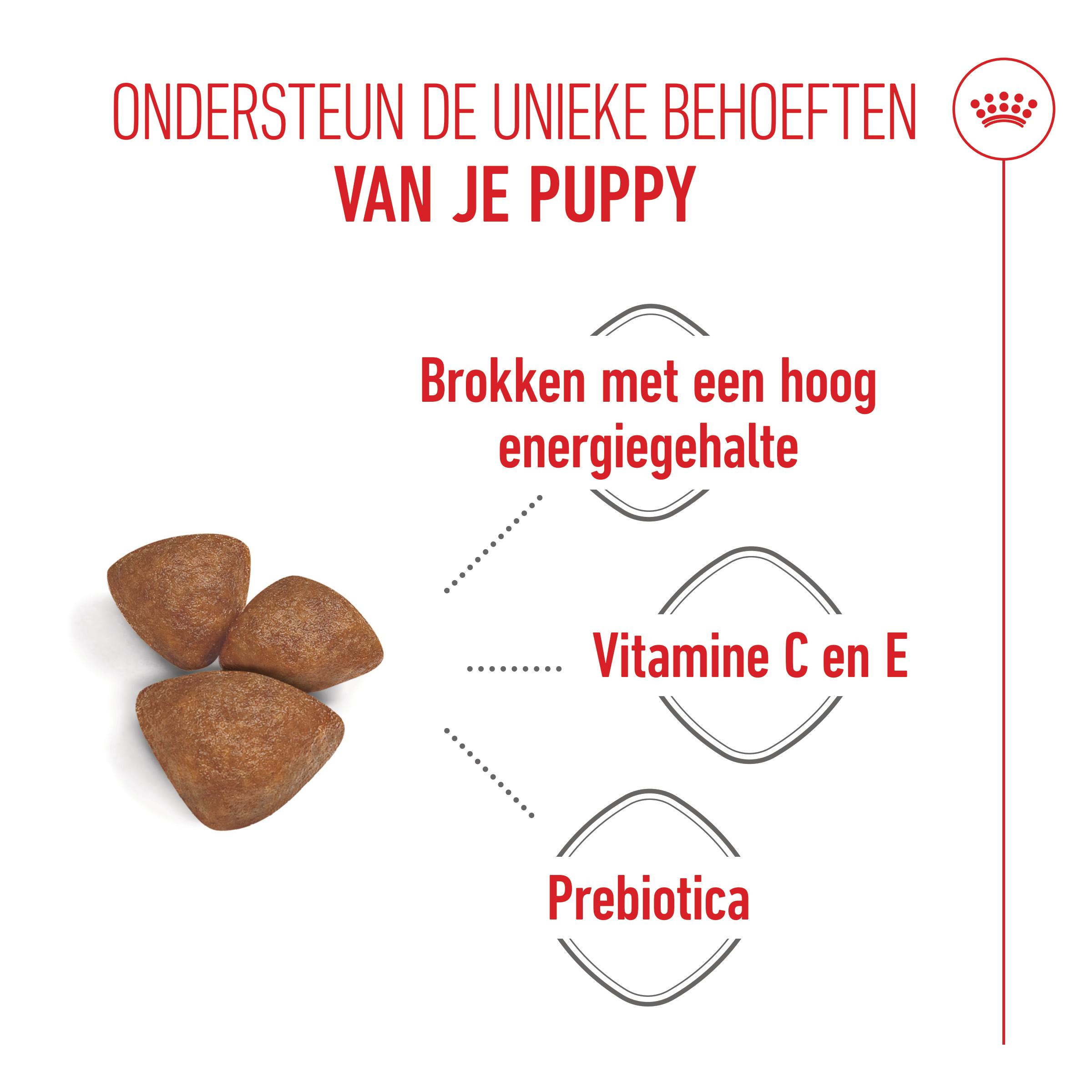Royal Canin Mini Starter Mother & Babydog - Hondenvoer