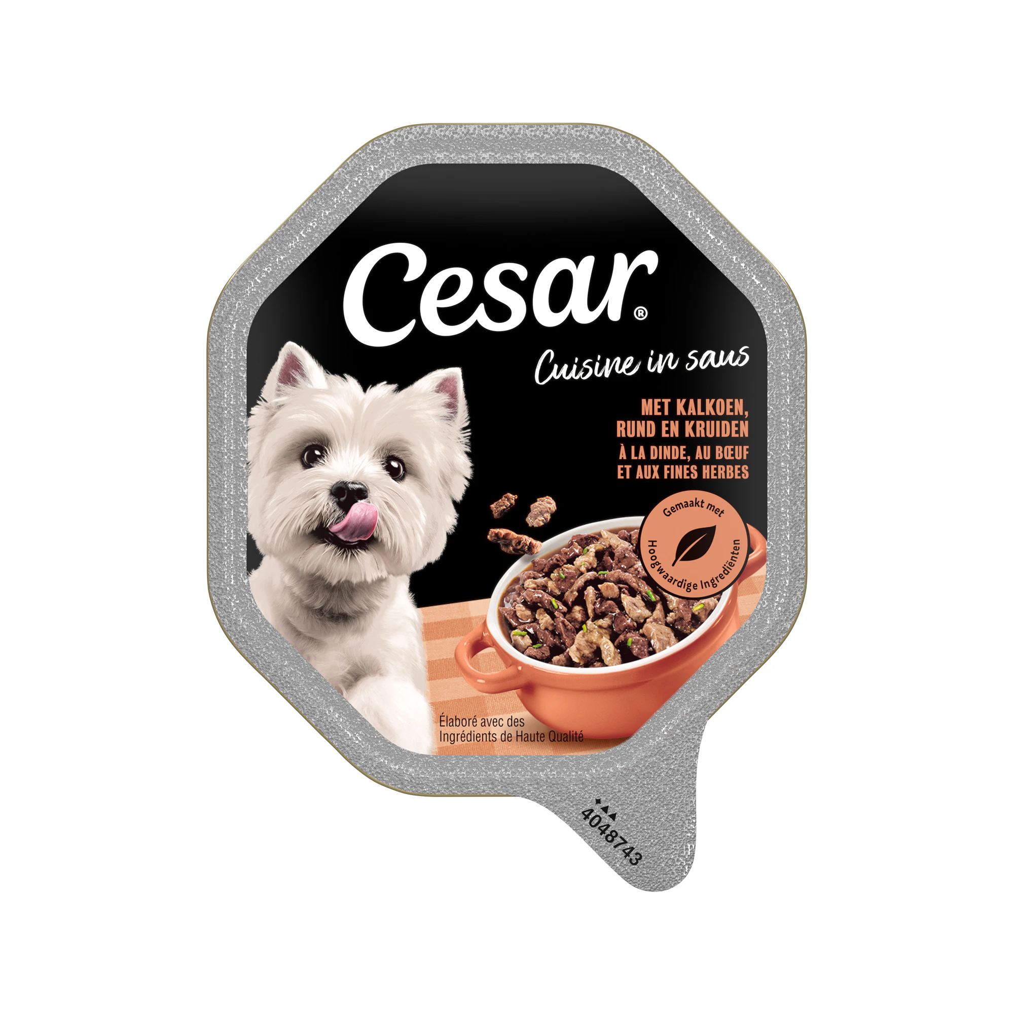 Cesar Cuisine in Saus