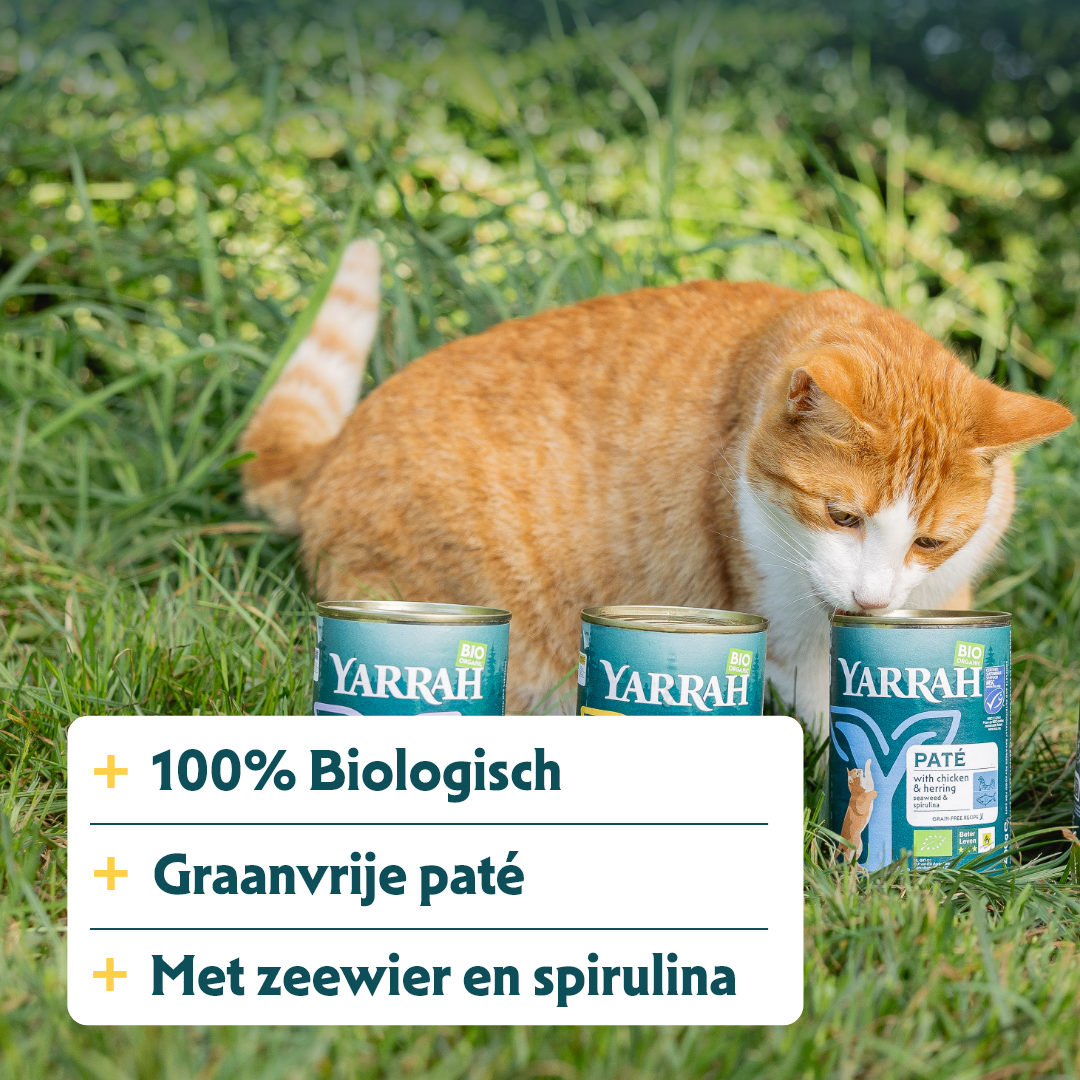 Yarrah - Natvoer Kat Blik met Vis Bio