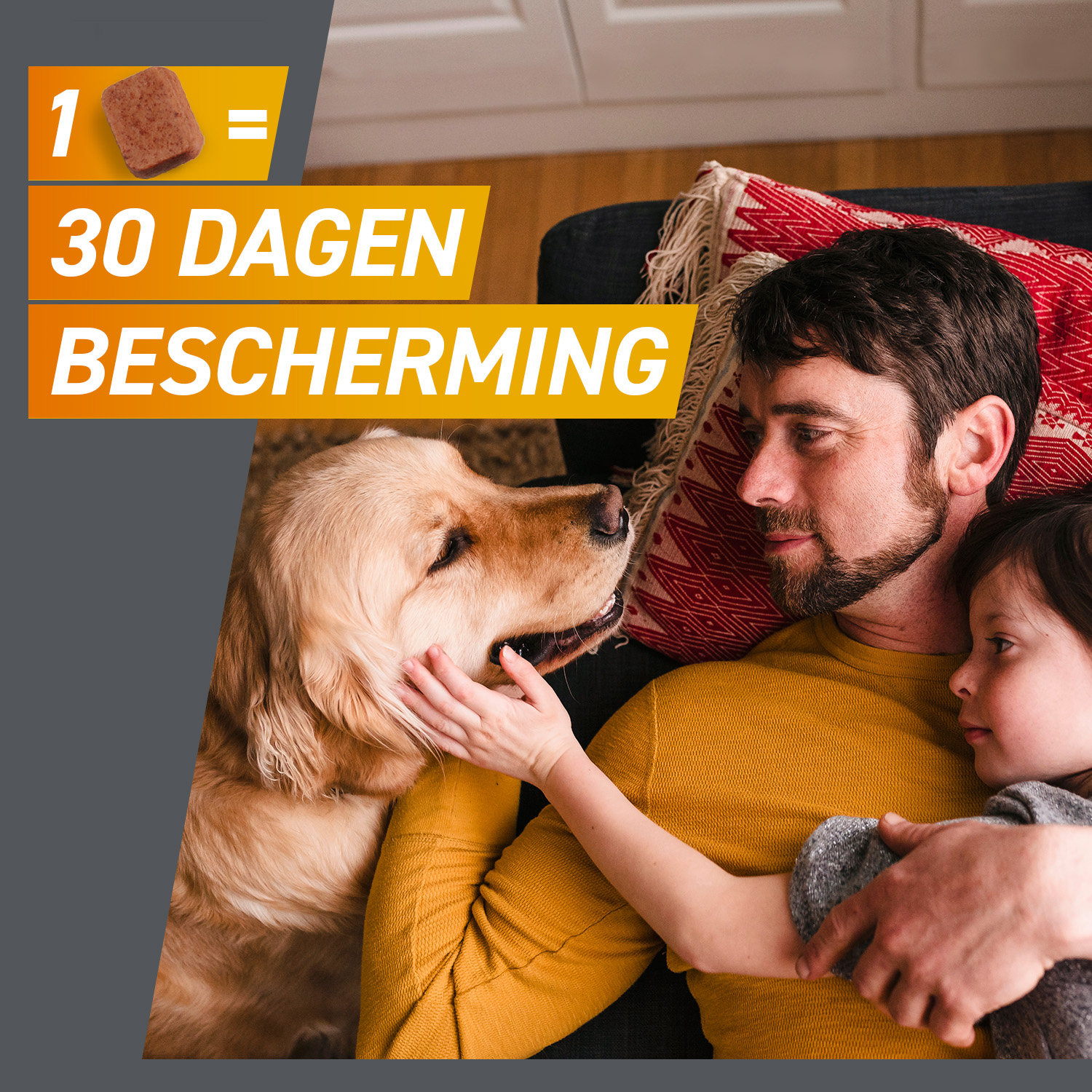 FRONTPRO Kauwtabletten Hond