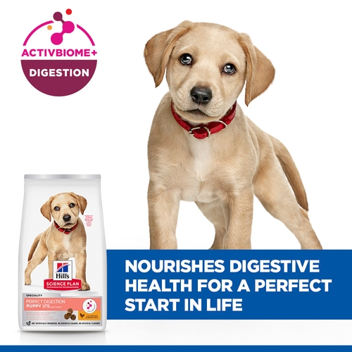 Hill's Science Plan Perfect Digestion Large Puppy Food