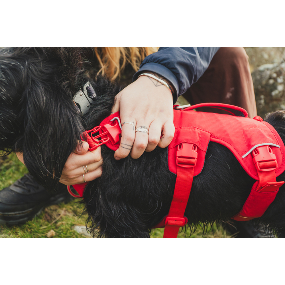 Ruffwear Webmaster Harness