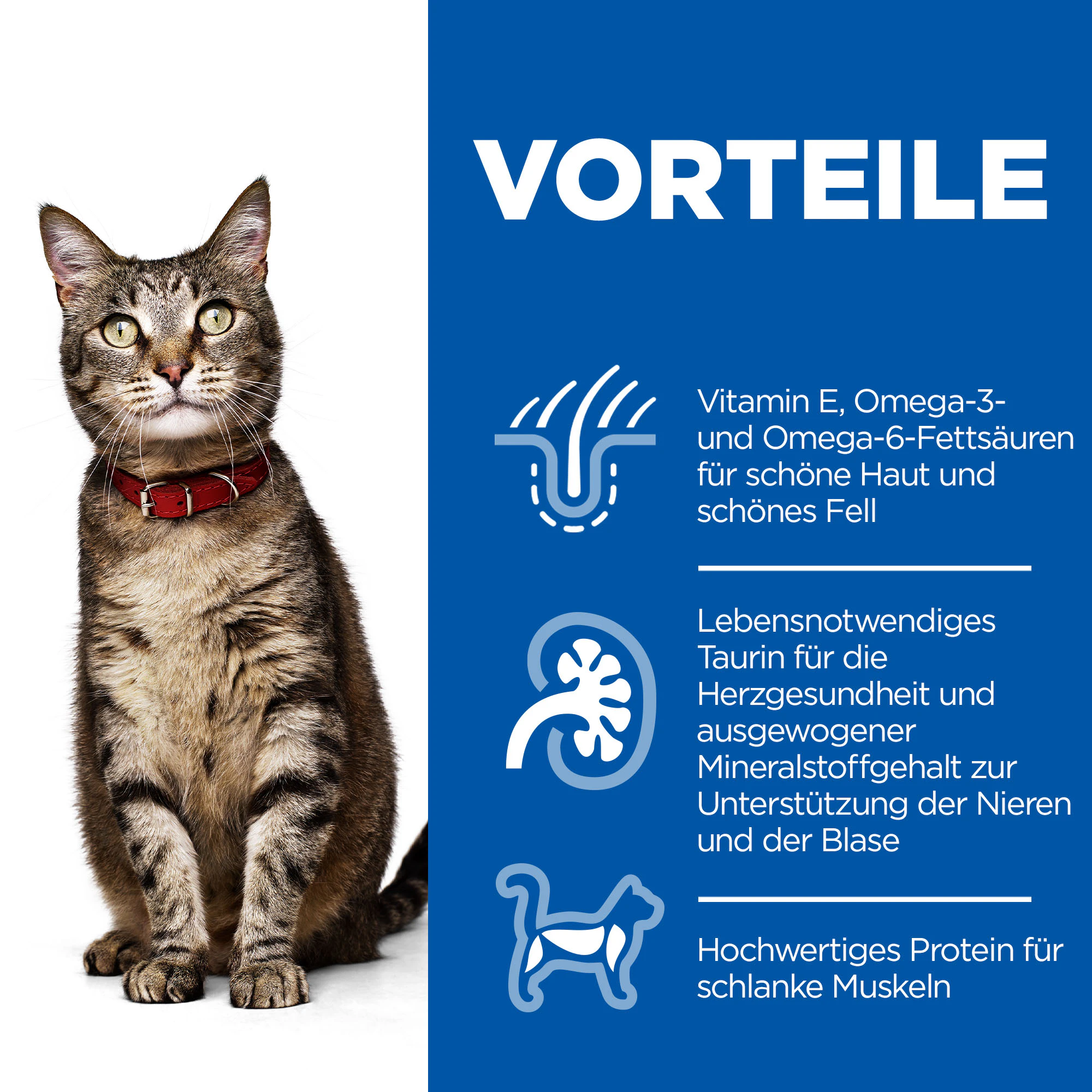 Hill's Science Plan Feline Adult Favourite Selection