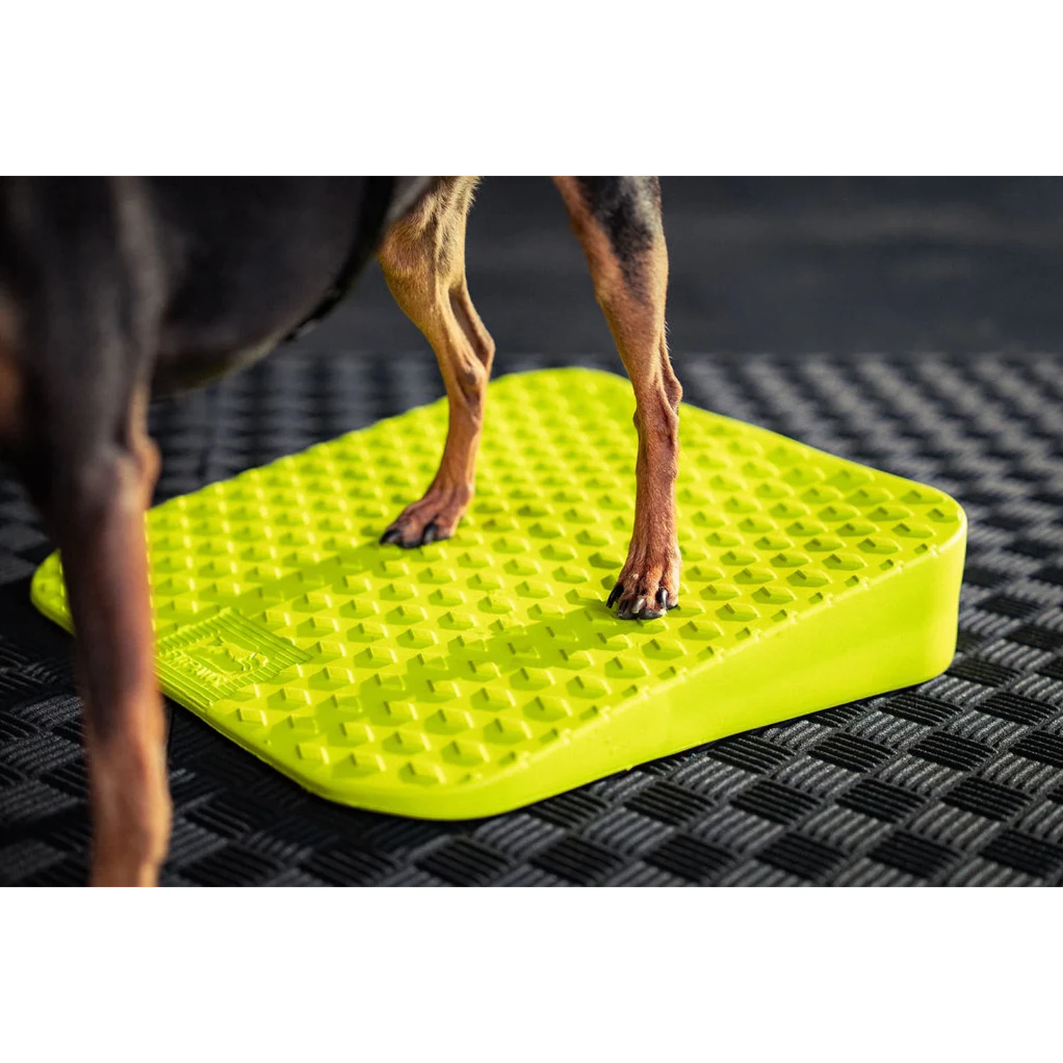 FitPAWS Balance Ramp