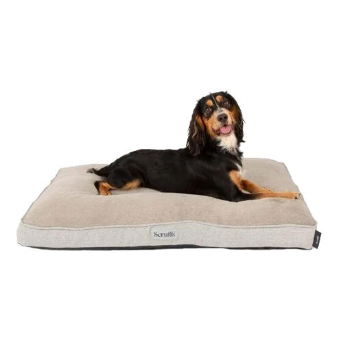 Scruffs Orthopedisch Hondenkussen Harvard Memory Foam Pearl Grey