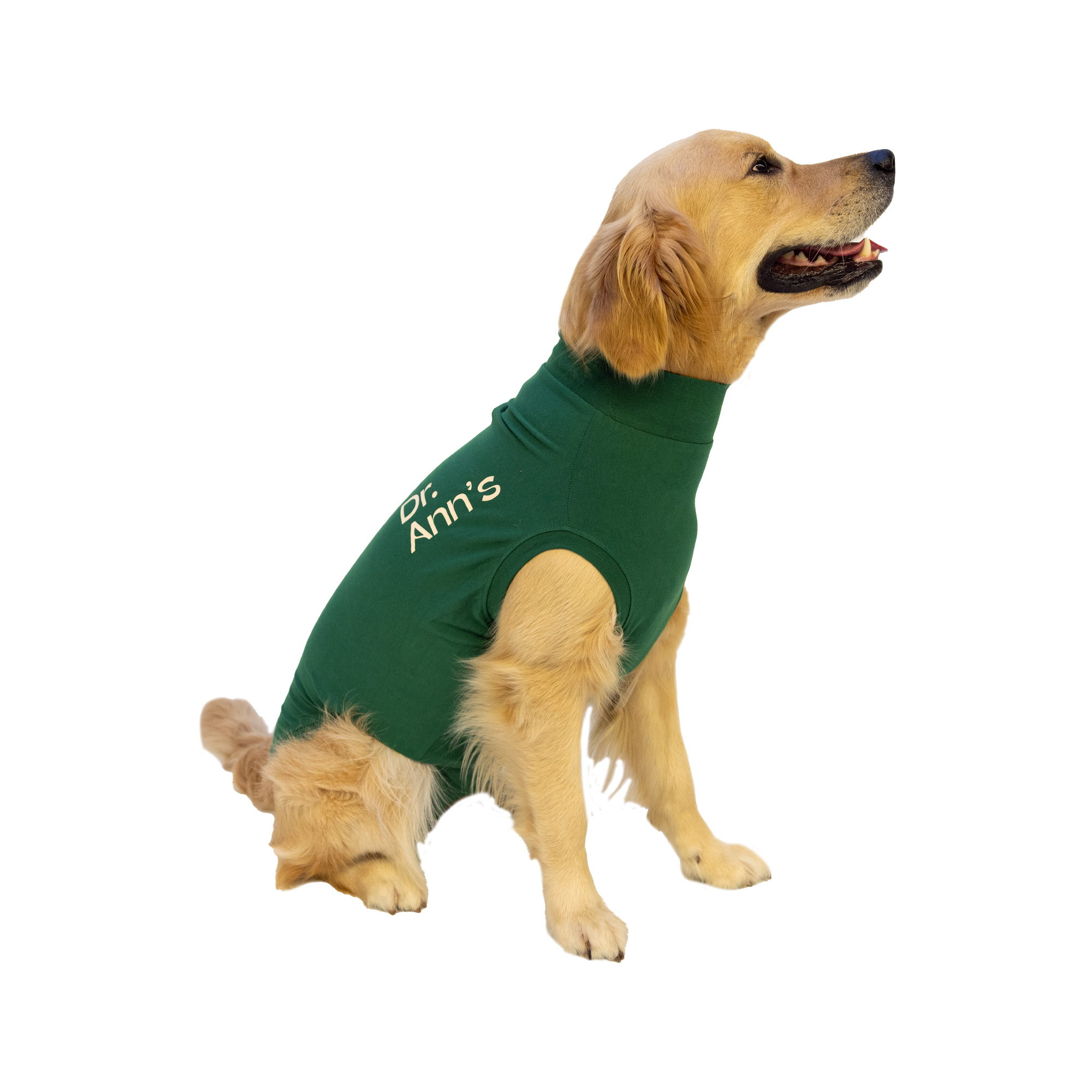 Dr. Ann's Protective Shirt Dog