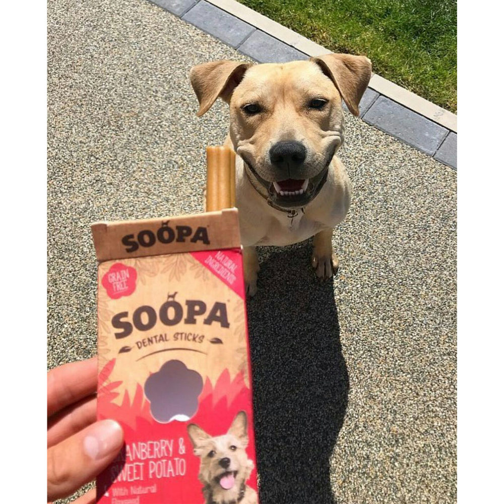 Soopa Dental Stick Cranberry SuBkartoffel Medpets
