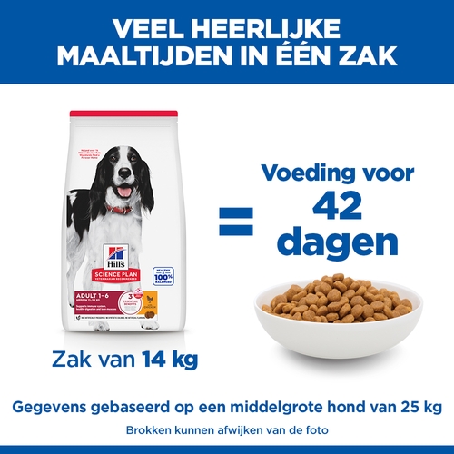 Hill's Science Plan - Medium - Adult - Kip