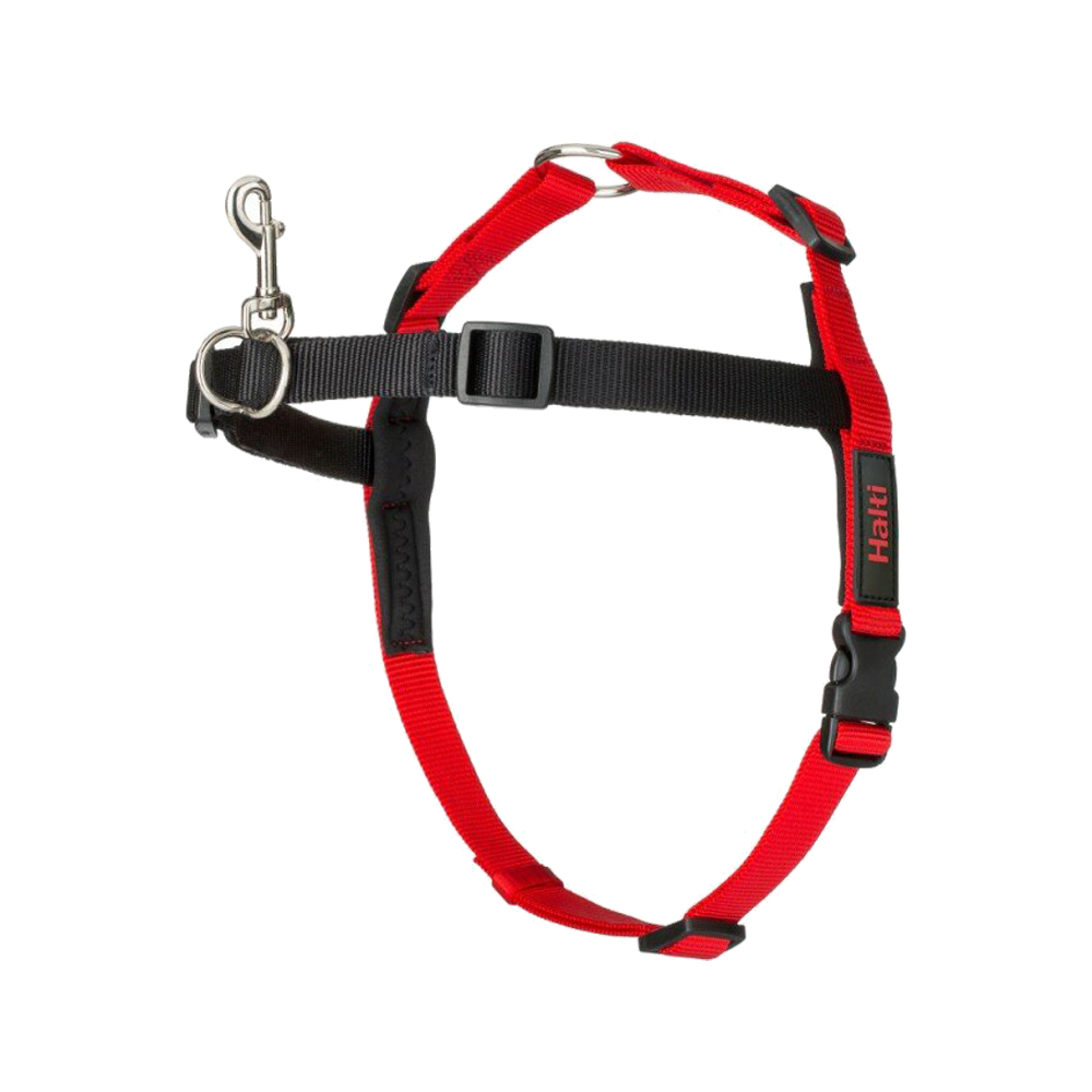 Halti lead and harness hotsell